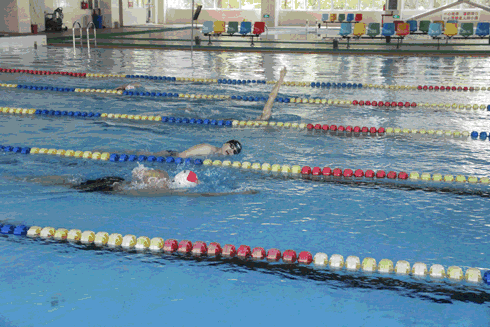 浙江省游泳队在我院完成训练课目顺利返程