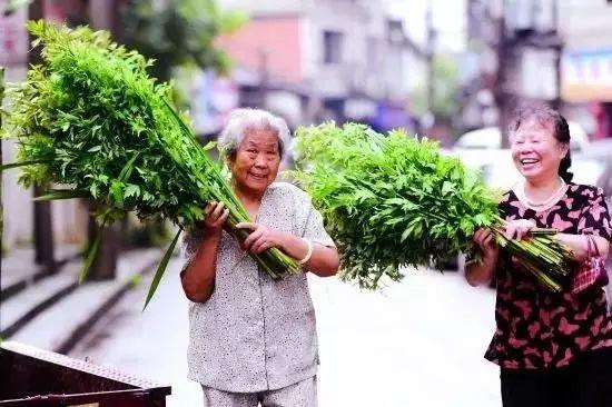 端午，愿安康！