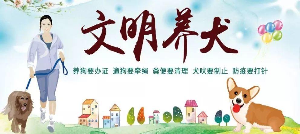 【文明工疗】西山区创建全国文明城市文明养犬倡议书